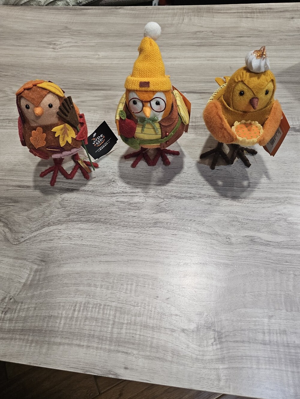 Target Hyde & EEK Featherly Friends Fall Bird Set of 3 NWT